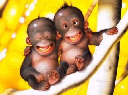 P'tits Singes